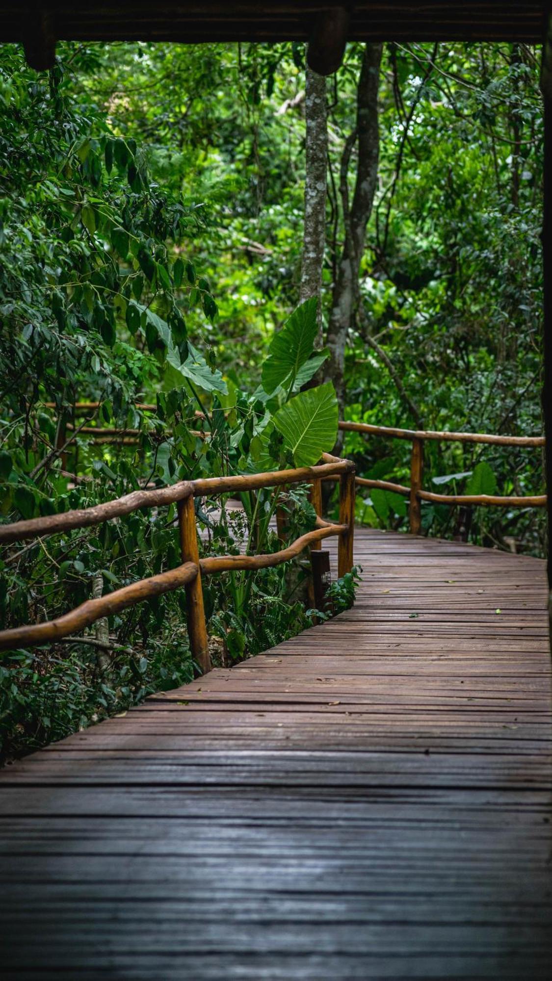 La Aldea De La Selva